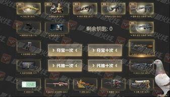 cf夺宝最新爆料,神秘道具即将登场，玩家狂欢盛宴即将开启！