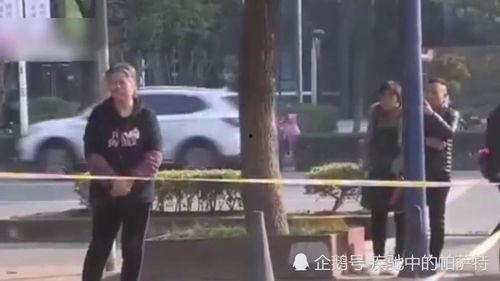 长春南阳路爆料事件视频,真相与争议交织的街头冲突  第3张